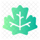 Maple Leaf Maple Foliage Icon
