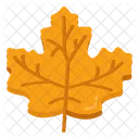 Maple Leaf Leaflet Bloom Icon