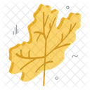 Maple Leaf Leaflet Botany Icon