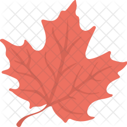 maple leaf icon of flat style available in svg png eps ai icon fonts maple leaf icon