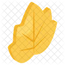 Maple Leaf Leaflet Bloom Icon