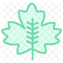 Maple Leaf Duotone Line Icon Icon