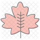 Maple Leaf Lineal Color Icon Icon