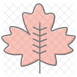 Maple-leaf  Icon