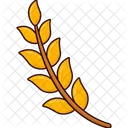 Maple Leaf  Icon