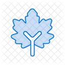 Maple leaf  Icon