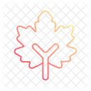 Maple leaf  Icon