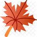 Maple Leaf Leaf Nature Icon