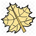 Falling Leaf Oak Tree Leaf Autumn Icon