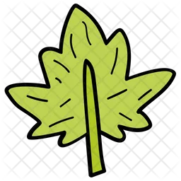 Maple Leaf  Icon