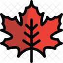 Maple Leaf Leaf Autumn Leaf Icon