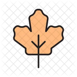 Maple leaf  Icon