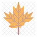 Maple Leaf Fall Icon