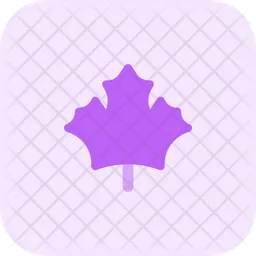 Maple Leaf  Icon