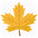 Foliage Maple Leaf Leaf Icon