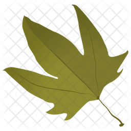 Maple Leaf Icon