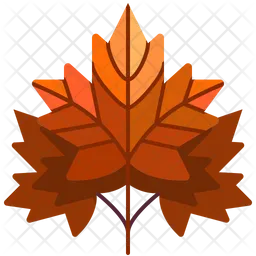 Maple Leaf  Icon