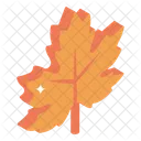 Maple Leaf Dry Leaf Autumn Leaf Icon