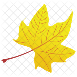 Maple Leaf Icon