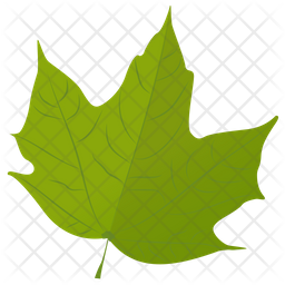 Maple Leaf Icon