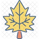 Maple Leaf Maple Leaf Icon