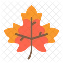 Maple Leaf Red Nature Icon