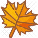 Maple Leaf Nature Dry Icon