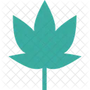 Maple Leaf Leaf Winter Leaf Icon