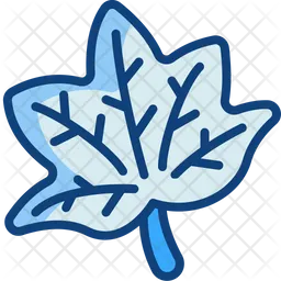 Maple leaf  Icon