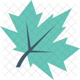 Maple Leaf  Icon