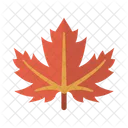 Canada Leaf Maple Icon