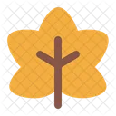 Maple leaf  Icon