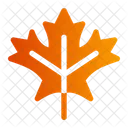 Maple Leaf Leaf Nature Icon