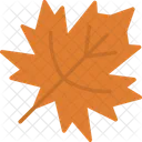 Maple Leaf Maple Leaves Autumn Icon