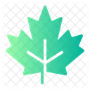 Maple Leaf Autumn Tree Icon