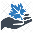 Hand Leaf Maple Icon