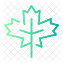 Maple Leaf Leaf Plant Icon