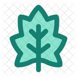 Maple Leaf  Icon