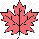 Maple Leaf Leaf Nature Icon