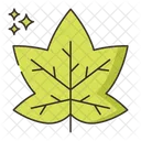 Maple Leaf Maple Leaf Icon