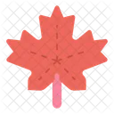 Maple Leaf Leaf Nature Icon