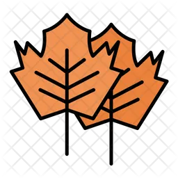 Maple Leaf  Icon