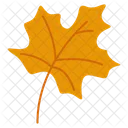 Maple Leaf Autumn Symbol Tree Leaf Icon