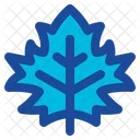 Maple Leaf Nature Autumn Icon