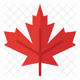 Maple leaf  Icon