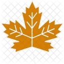 Maple Leaf Leaf Nature Icon