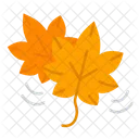 Maple Leaf Autumn Maple Icon