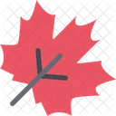 Maple Leaf Ecology Icon