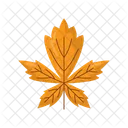 Maple leaf foliage  Icon