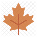 Maple Leaf Autumn Fall Icon